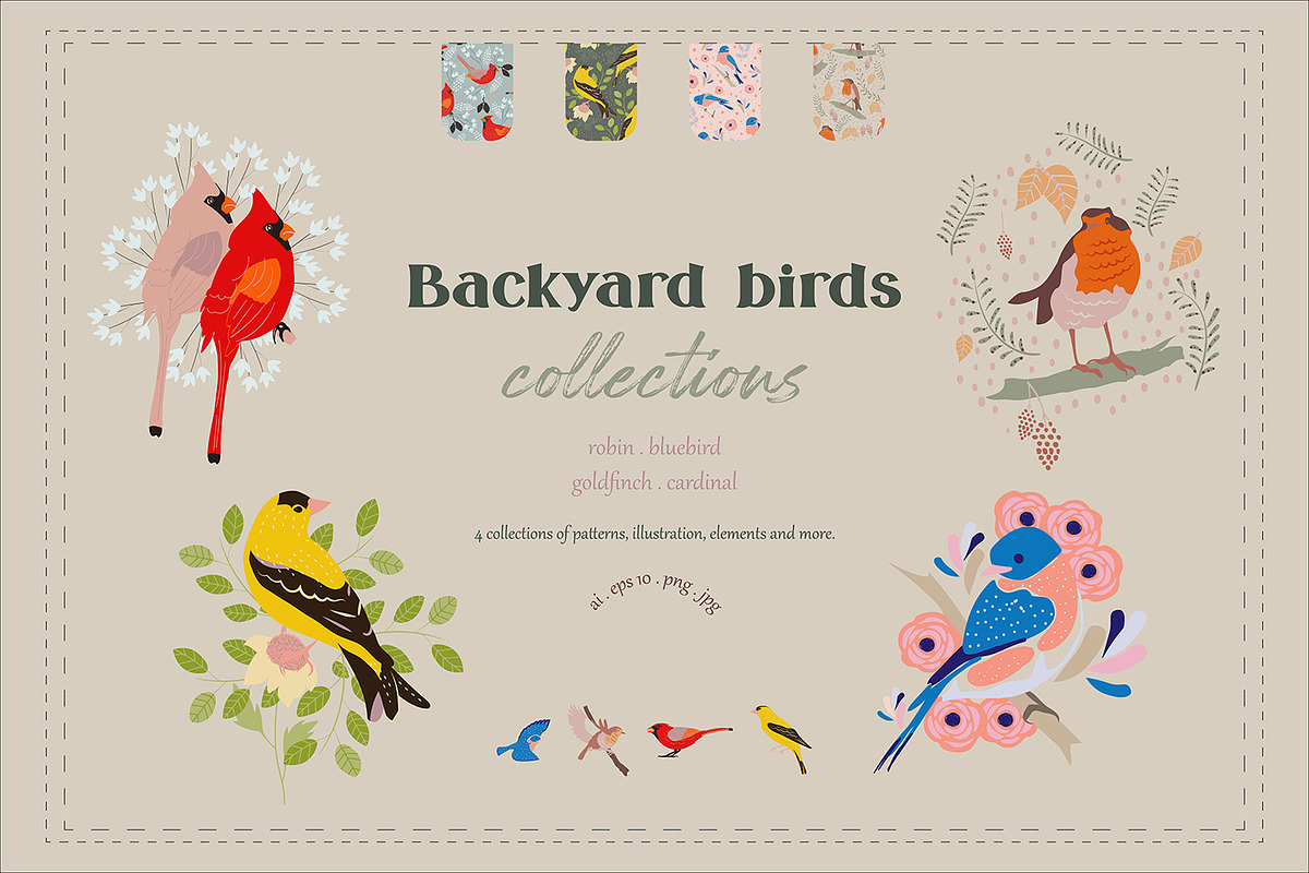 Backyard birds collections, an Illustration by Mona Ahmed (Photo 1 of 10)