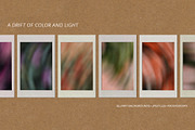 Floral Drift - Blurry Backgrounds, a Background Graphic by Dina Mae (Thumbnail 3 of 14)