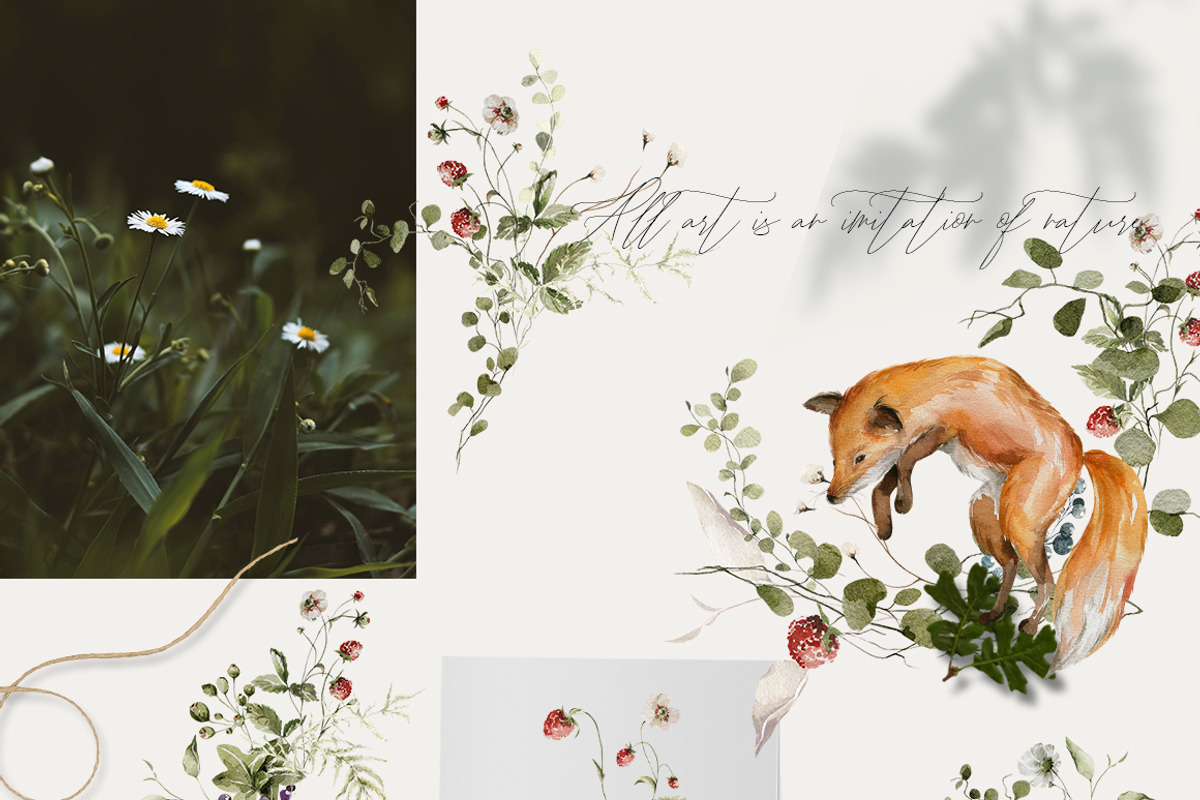 Woodland baby animals 2 Field flower, an Animal Illustration by 60secondsArt (Photo 6 of 16)