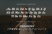 Grace – Modern Script Font, a Script Font by overlaytemplates (Thumbnail 4 of 5)