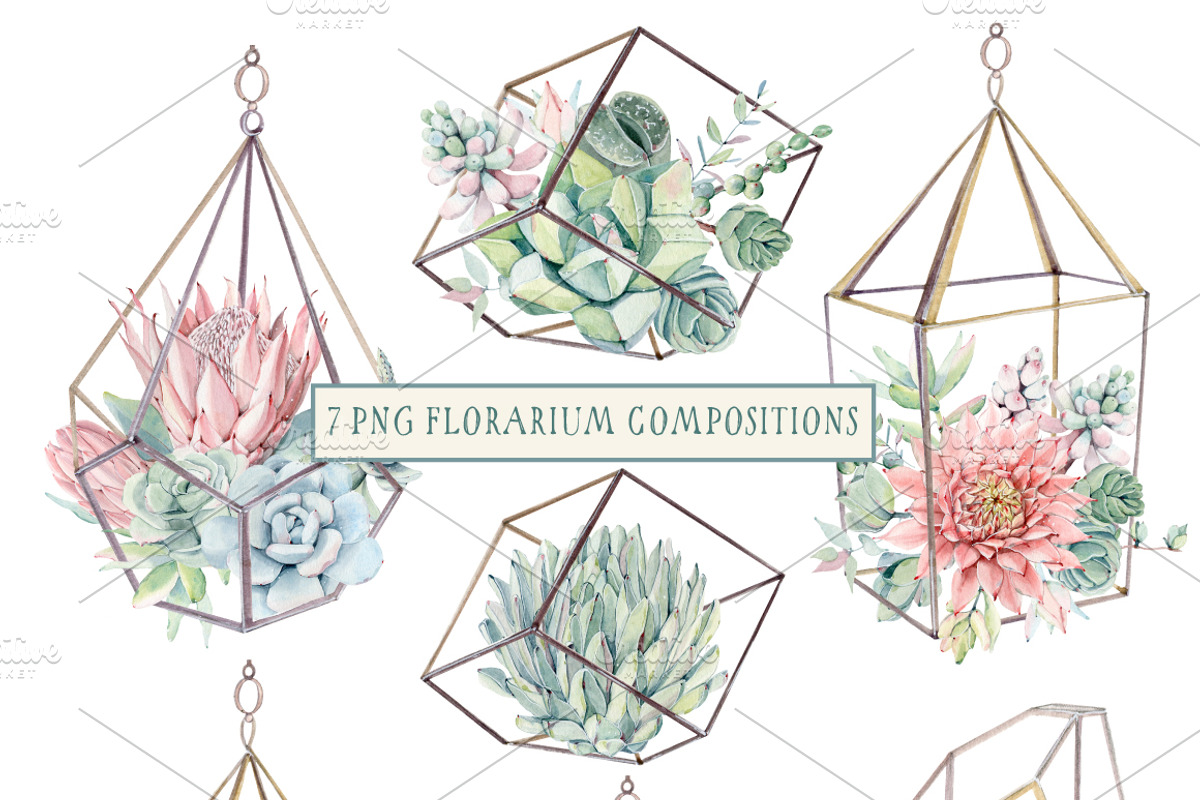 AMAZING SUCCULENTS Watercolor set, an Illustration by Lemaris (Photo 4 of 9)
