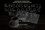 Amsterdam, a Handwritten Font by FreshTypeINK (Thumbnail 8 of 8)