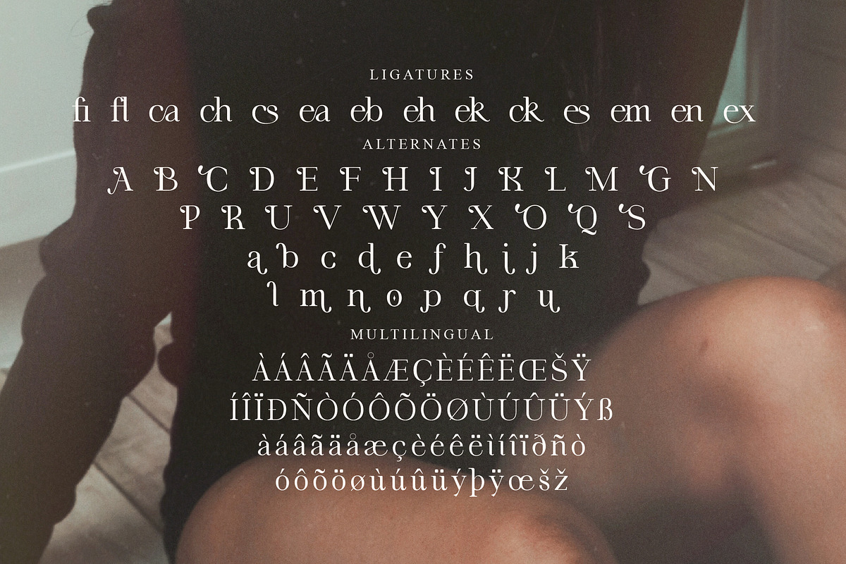 Fortela Typeface Font, a Serif Font by Storytype Studio (Photo 13 of 15)