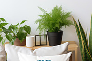 PNG Clipart for T-Shirts & Wall Art, a Decorative Illustration by MRI STUDIO (Thumbnail 8 of 42)