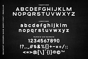 Balmont | A Modern Sporty Sans Serif, a Sans Serif Font by Andrimada Creative (Thumbnail 4 of 12)