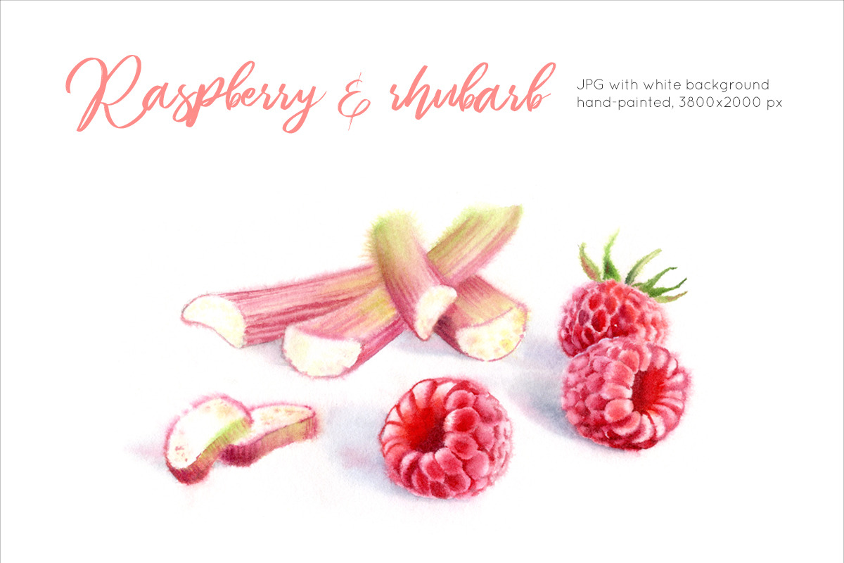 Raspberry & Rhubarb. Watercolor, a Graphic by Akvarelldesign