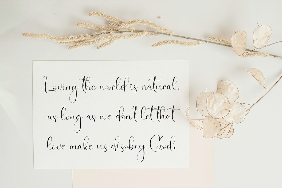 Butterfly | Script Font, a Handwritten Font by Scratchones (Photo 5 of 9)