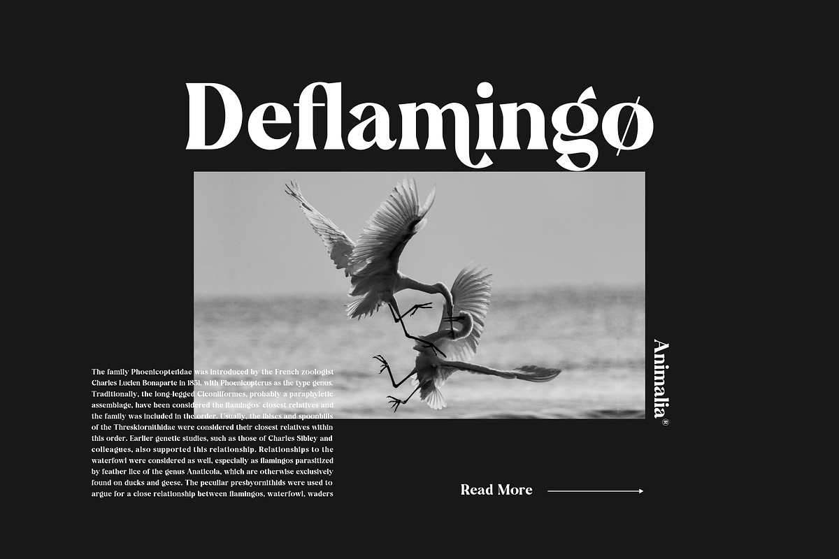 Cramble Modern Stylish Serif Font, a Serif Font by Letteralle Studios (Photo 7 of 10)