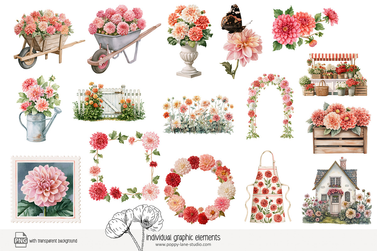 100 watercolour dahlia clip art, a Seasonal Illustration by Poppy Lane Studio (Photo 7 of 12)