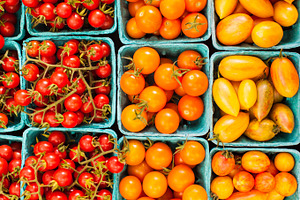 Colorful tomatoes at the farm stock photo containing autumn and fall