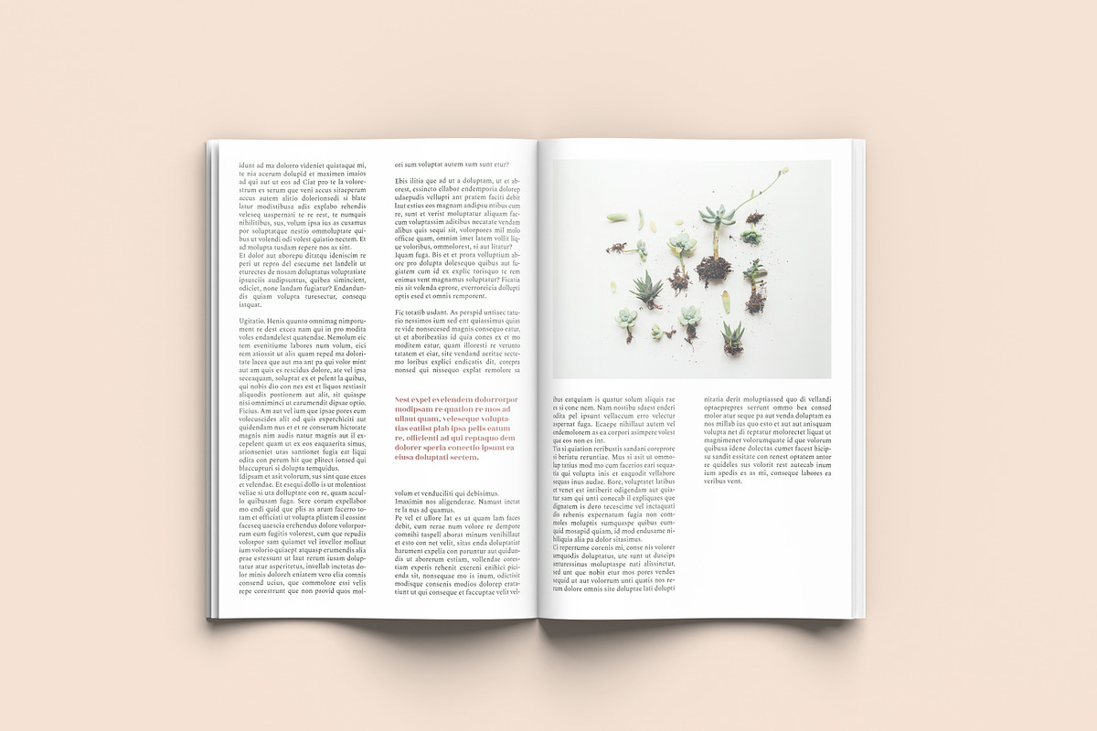 Seed - A4 Magazine Template, a Magazine Template by Tèrso. (Photo 10 of 10)