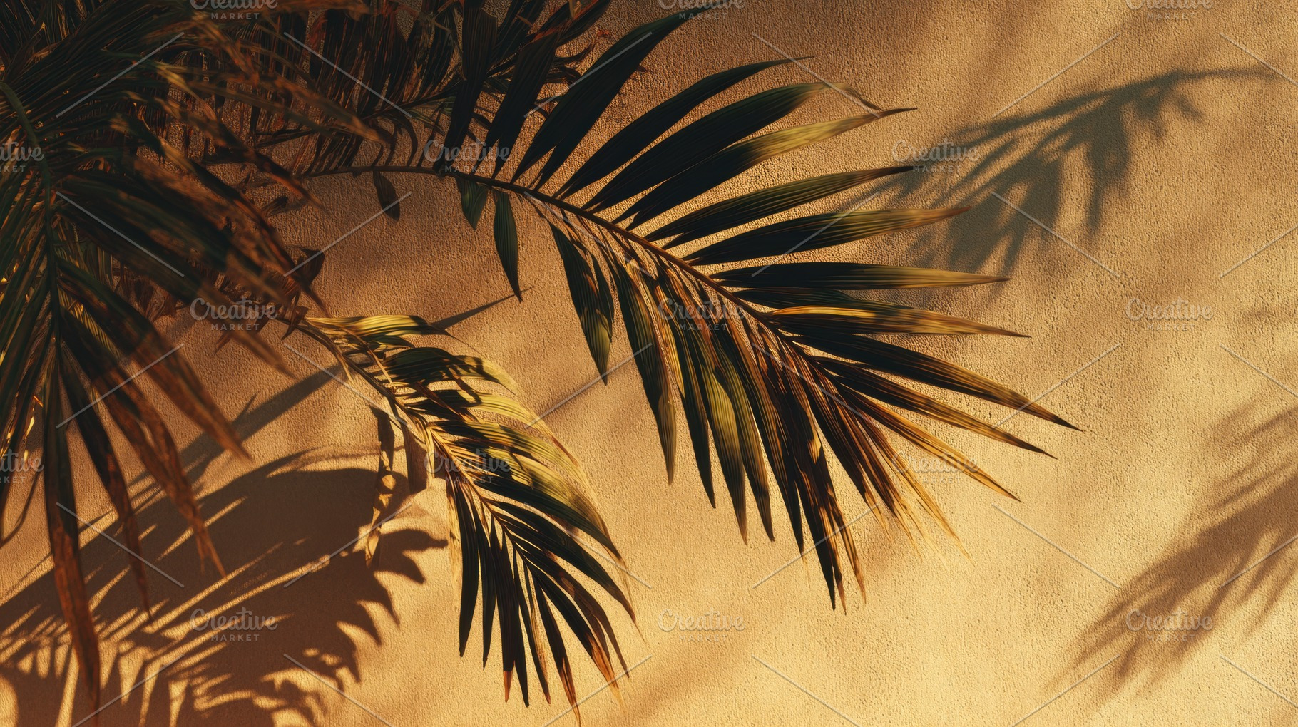 Leaves cast shadows on a wall, a Photo by Pavel_design