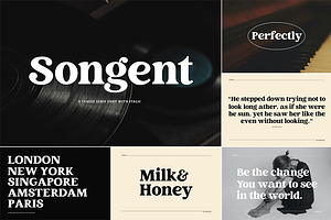 The Modern Elegant Font Bundle 1