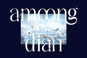 cheerfull, a Serif Font by jaffana.co (Thumbnail 4 of 7)