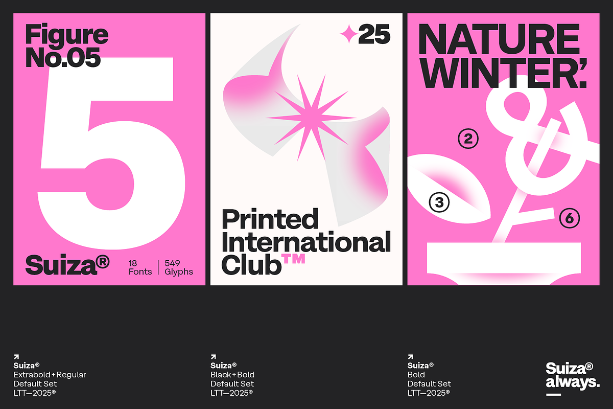 Suiza, a Sans Serif Font by Latinotype (Photo 3 of 16)