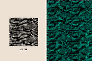 Iconic Animal Print Patterns, a Pattern Graphic by Jaclyn Caris (Thumbnail 10 of 16)