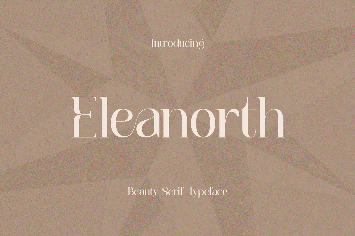 Eleanorth, a Serif Font by RT Studio (Photo 1 of 10)