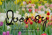 Quensy Elegant Font, a Script Font by Bilahstudio (Thumbnail 1 of 11)
