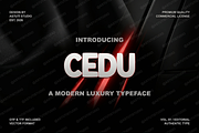 Cedu | A Modern Luxury Serif, a Serif Font by Astuti Studio (Thumbnail 3 of 25)