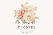 Vintage Peonies, a Decorative Illustration by PeDe Designs (Thumbnail 4 of 7)