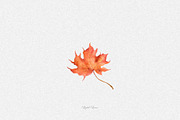 Watercolor fall leaves, an Illustration by DigitalDream (Thumbnail 5 of 5)