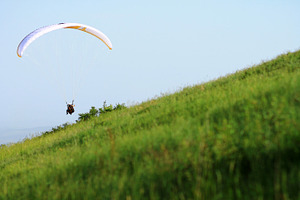 Paraglider containing paraglider, meadow, and grass