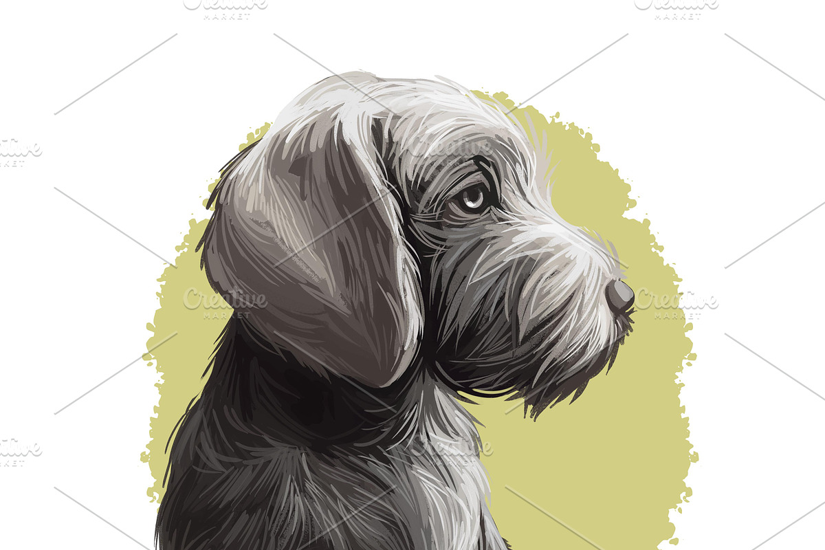 Puppies Dog Breeds Big Bundle 135Pcs, an Animal Illustration by Dneprstock (Photo 59 of 68)