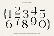 NV Montravia – Elegant Serif Font, a Serif Font by Novaratype (Thumbnail 6 of 16)