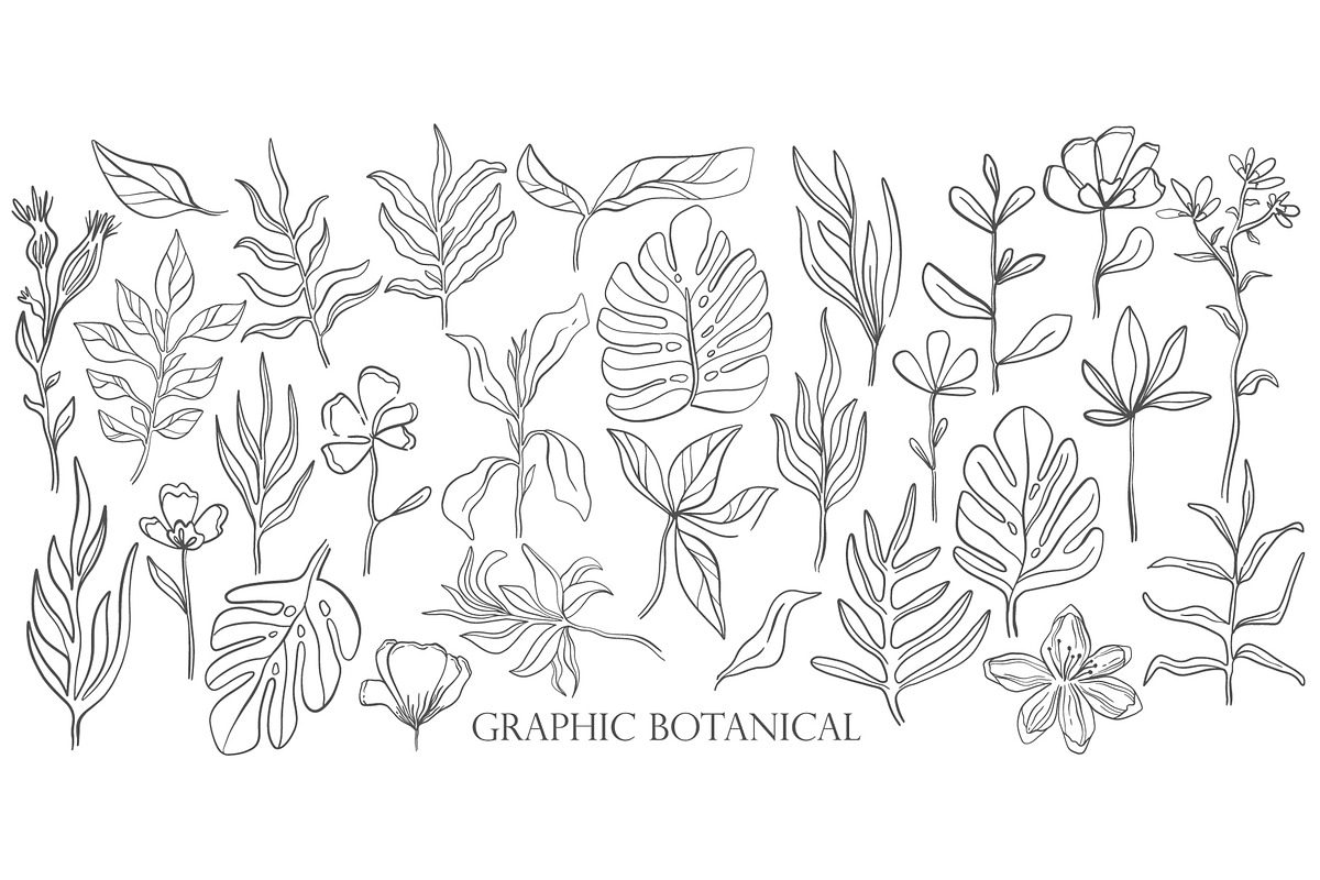 One line graphic botanical, a Decorative Illustration by Moonflora (Photo 3 of 7)
