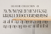 Blastigo - A Modern Stylish Serif, a Serif Font by Qweera Studio (Thumbnail 9 of 12)