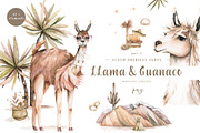 Cute Llama & Guanaco Watercolor Set, an Animal Illustration by Ann Art Houze (Thumbnail 1 of 10)