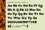 Velocity - Dynamic Retro Display, a Serif Font by Windfall Co (Thumbnail 9 of 11)