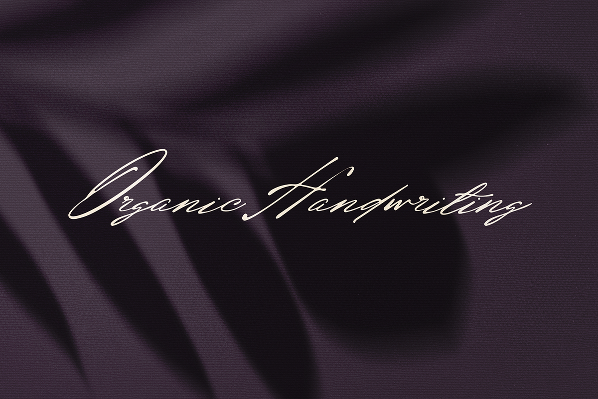 Radian Horizon Handwritten Script, a Script Font by VP Fonts (Photo 2 of 18)