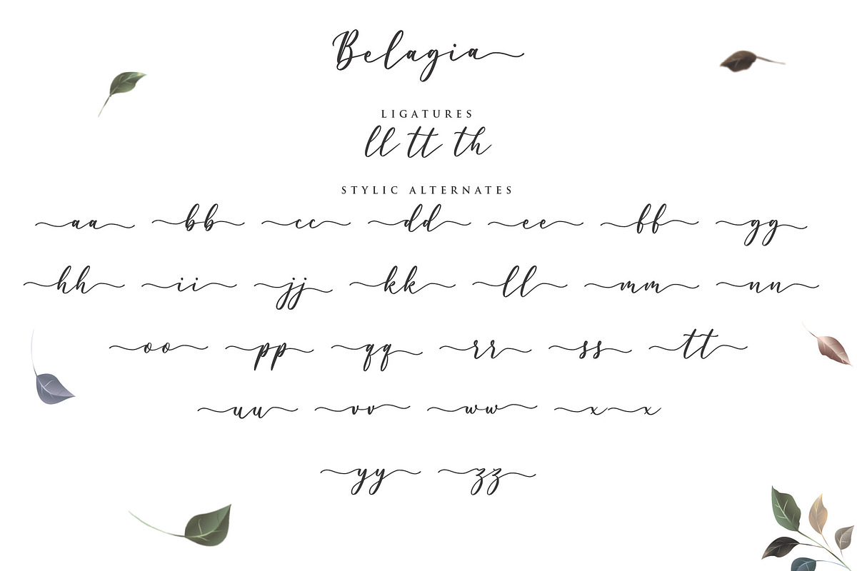 Belagia - Classy Calligraphy preview 6