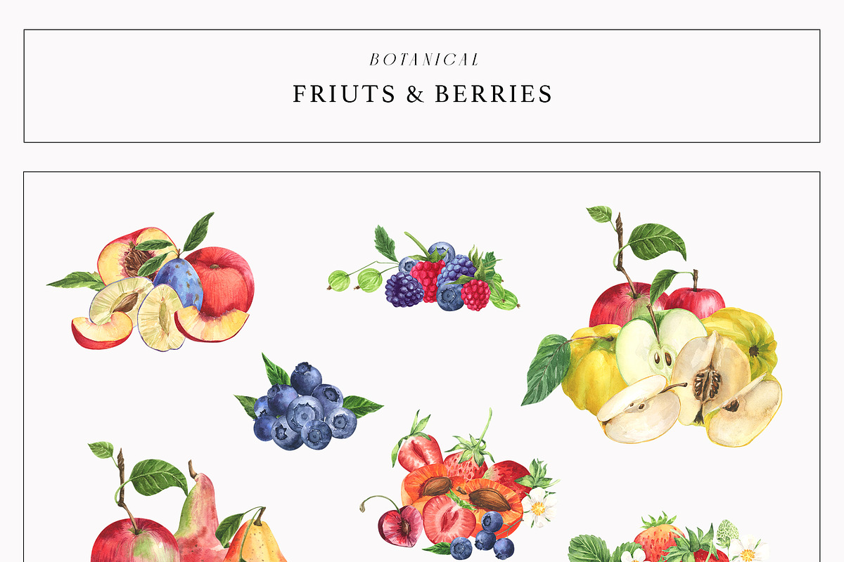 Fruits & Berries Botanical, a Food Illustration by LiChu Art (Photo 9 of 14)