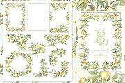 Lemon Watercolor Amalfi Collection, a Decorative Illustration by WonderWonder (Thumbnail 3 of 18)