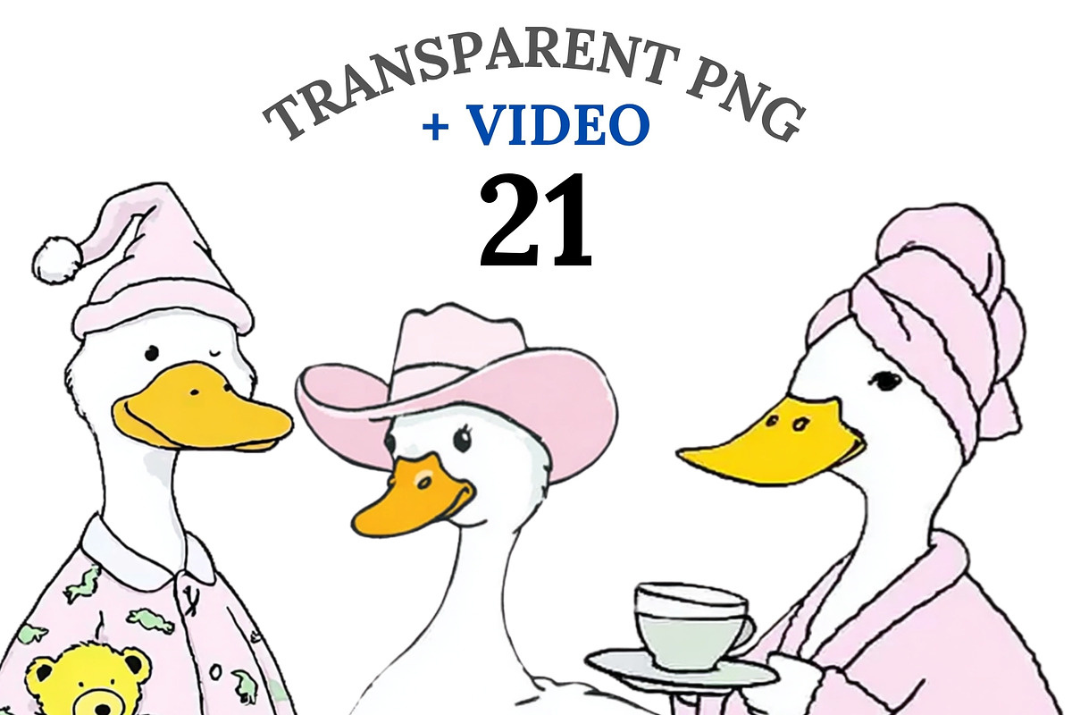 21 Silly Goose Clipart PNG, an Animal Illustration by Pati Charm Studio (Photo 1 of 8)