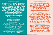 Relastic Script, a Script Font by joelmaker (Thumbnail 10 of 18)