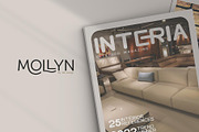Mollyn Typeface, a Sans Serif Font by alit design (Thumbnail 11 of 17)