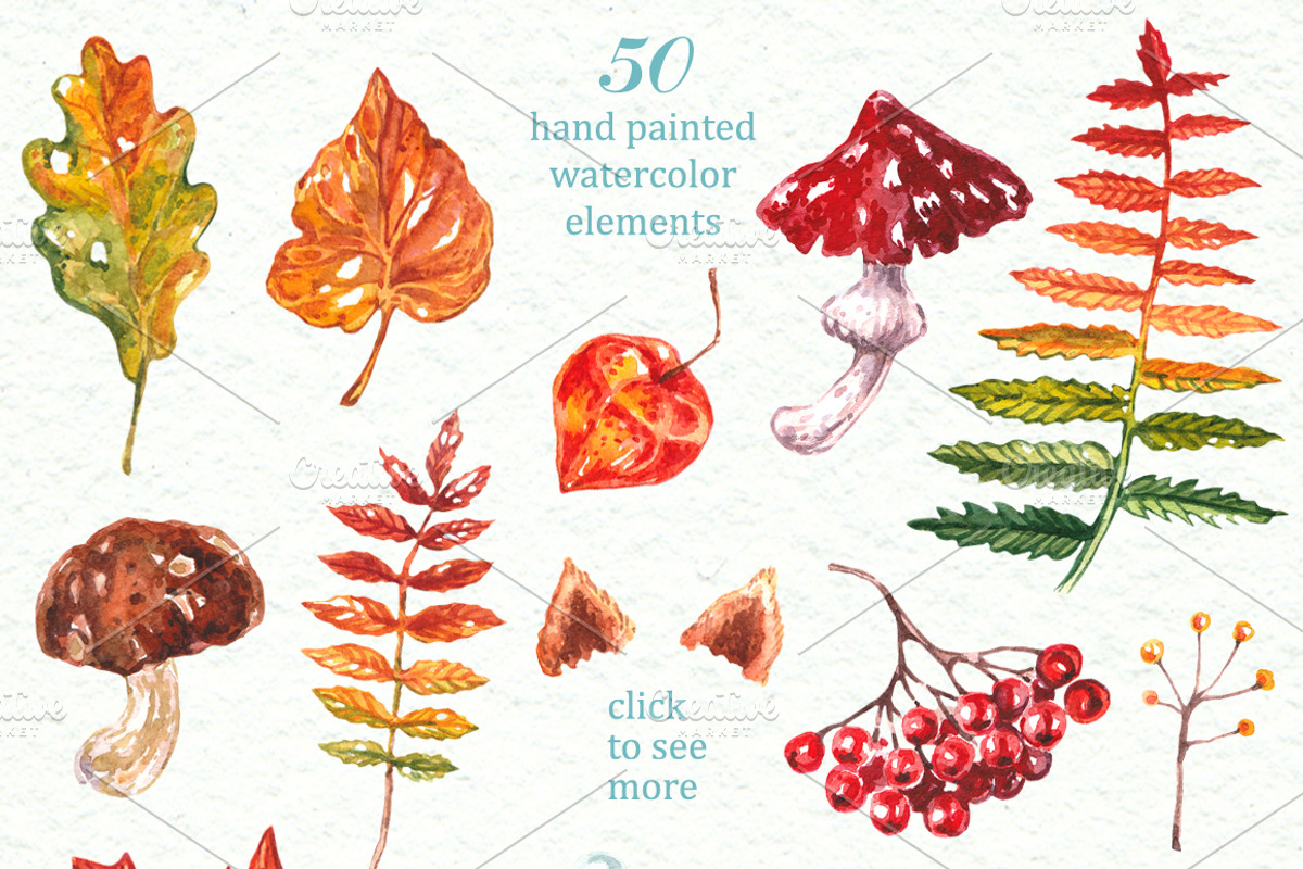 Watercolor Collection Fall Forest, an Illustration by AnnieDove (Photo 5 of 8)