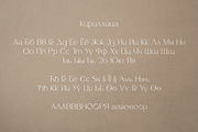 Salve - Elegant Serif + Cyrillic, a Serif Font by VP Fonts (Thumbnail 15 of 20)