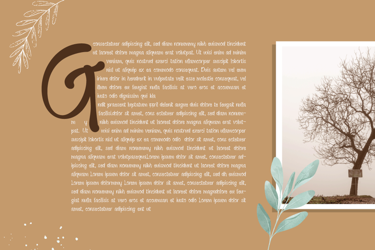 Keong Regular, a Serif Font by Grontype (Photo 3 of 9)