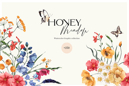 Honey Meadow. Wild Flower., an Object Illustration by ma_i_vi
