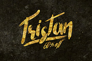 Tristan Brush Font + Bonus, a Script Font by Maulana Creative (Thumbnail 1 of 5)