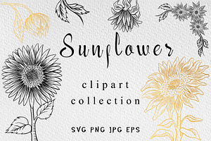 Sunflower clipart collection