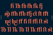 Norche - Serif Family, a Serif Font by Dora Typefoundry (Thumbnail 6 of 10)