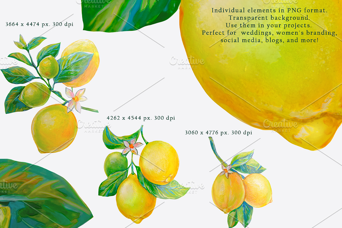 Lemons, Pomegranates elements, frame, an Object Graphic by Alena Lazareva (Photo 3 of 10)