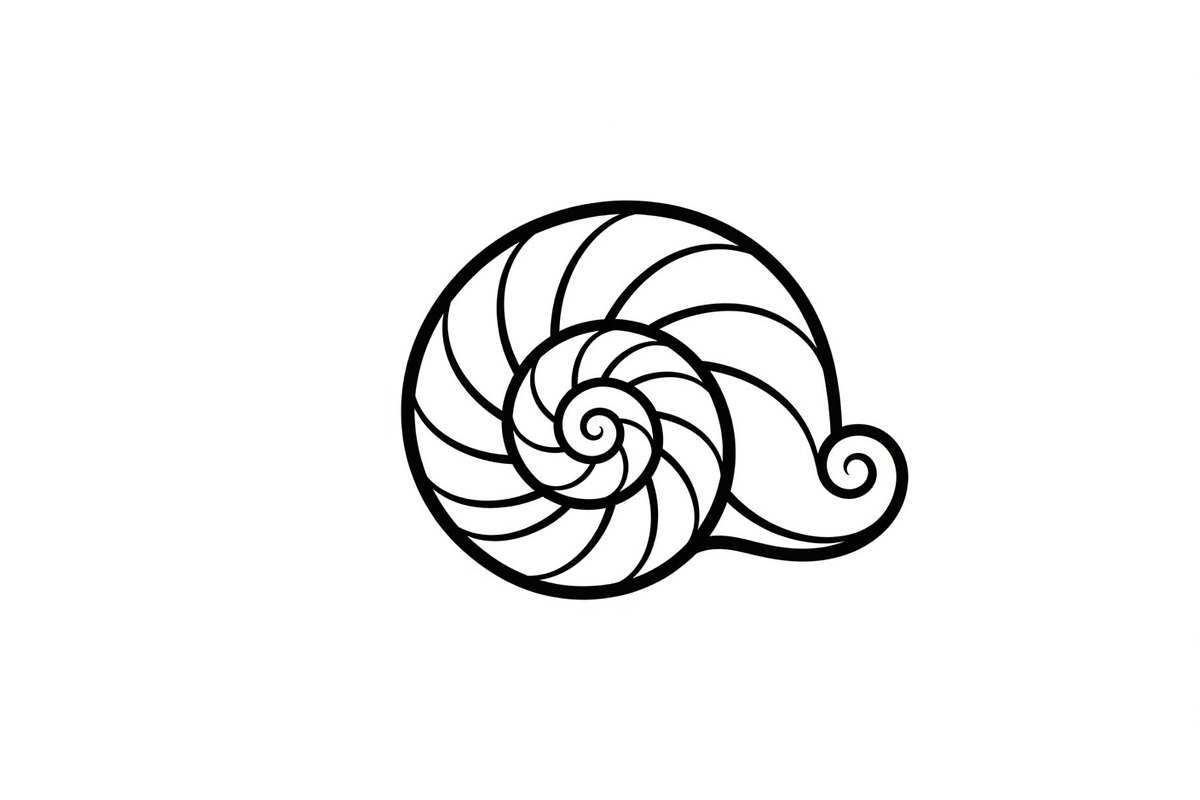 Spiral Seashell SVG Bundle, an Illustration by Gaye Art (Photo 23 of 31)