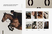 Dark Equestrian | 200 stock images, an Animal Photo by Tale.Haus (Thumbnail 7 of 13)