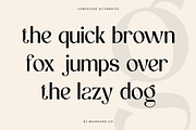Vorage | Modern Minimalist Typeface, a Serif Font by Mahesans Co (Thumbnail 7 of 10)